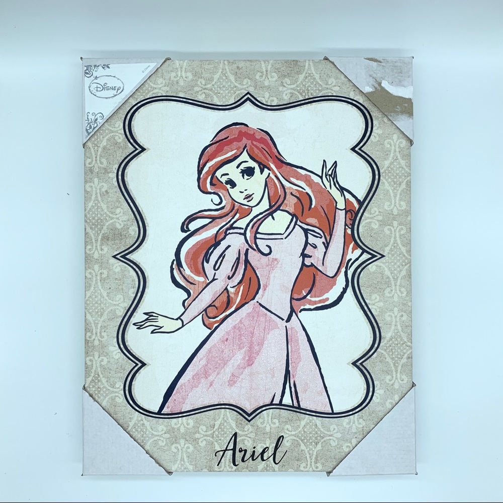 Ariel canvas wall art on wood frame